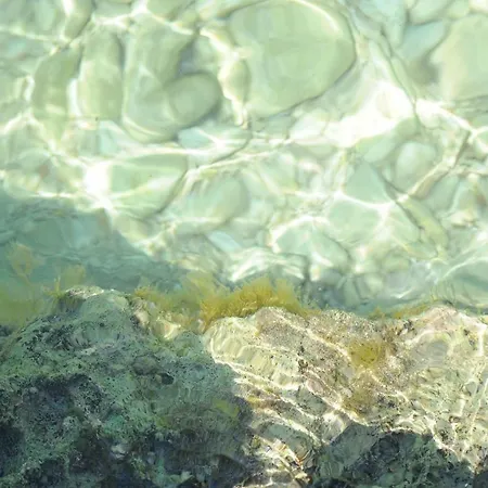 Snjezana Appartamento *